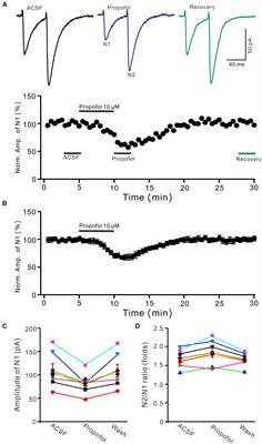 Propofol Inhibits Cerebellar Parallel Fiber-Purkinje Cell Synaptic Transmission via Activation of Presynaptic GABAB Receptors in vitro in Mice